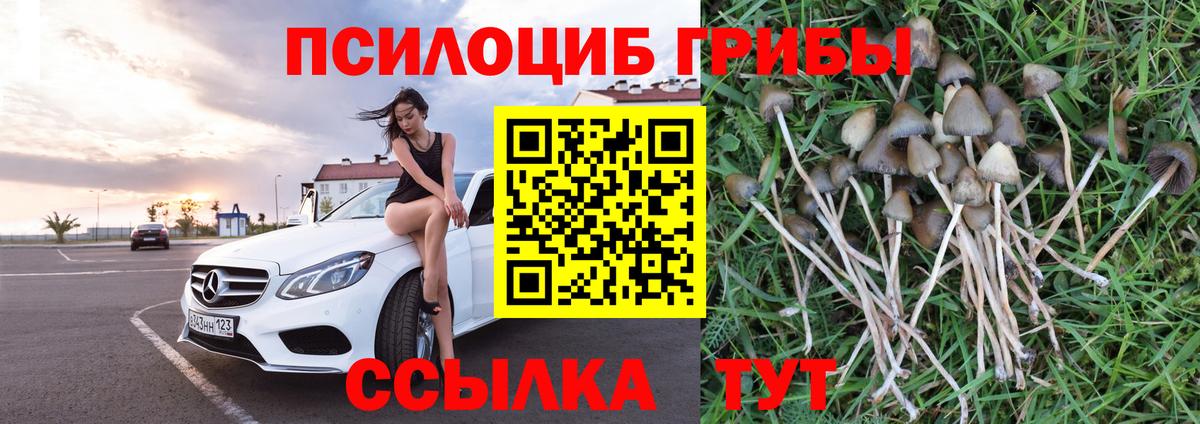 Галлюциногенные грибы прущие грибы  продажа наркотиков  Рубцовск  Вход с VPN 