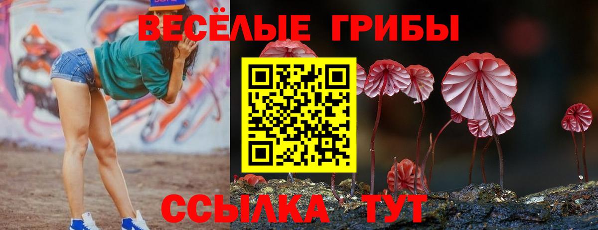 Псилоцибиновые грибы ЛСД Рубцовск
